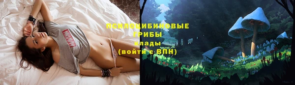 марки lsd Мегион