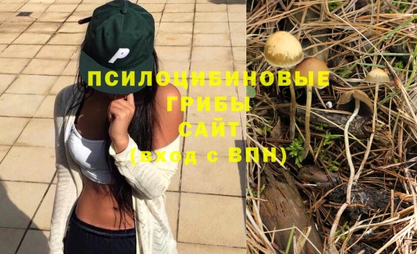 дурь Медвежьегорск