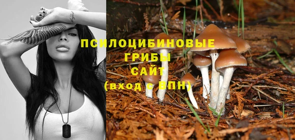 марки lsd Мегион
