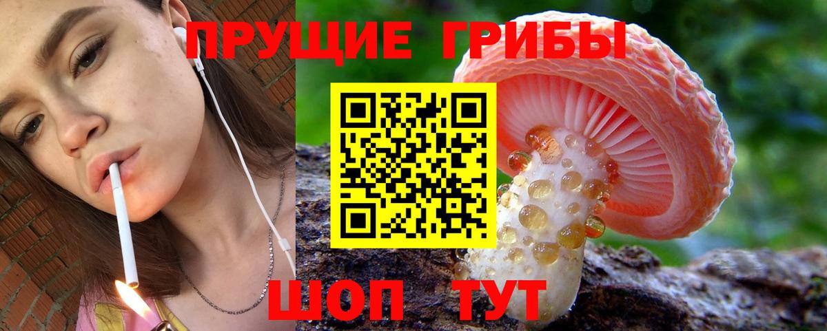 Чайковский  Галлюциногенные грибы прущие грибы  магазин  наркотиков  Галлюциногенные грибы ЛСД  Вход с VPN 